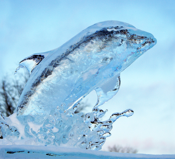Dolphin Ice Sculpture Stock Photo