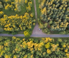 Empty road in yellow flowers park from height Stock Photo