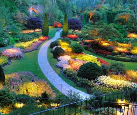 Flower garden Stock Photo 01