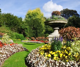 Flower garden Stock Photo 02