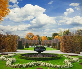 Flower garden Stock Photo 03