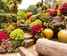 Flower garden Stock Photo 05