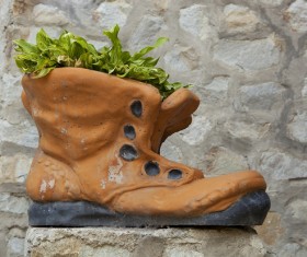 Flowers in shoes Stock Photo 01