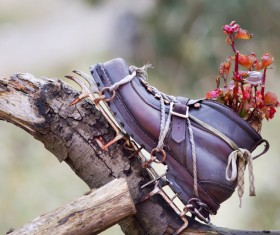 Flowers in shoes Stock Photo 02