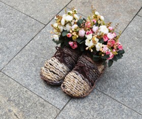 Flowers in shoes Stock Photo 04