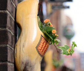 Flowers in shoes Stock Photo 05