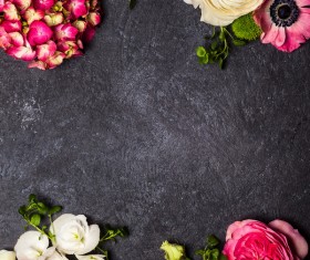 Flowers on black Background Stock Photo 02