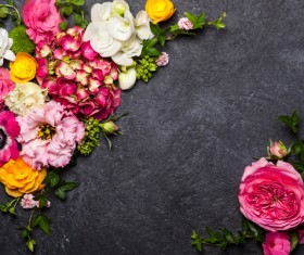 Flowers on black Background Stock Photo 07