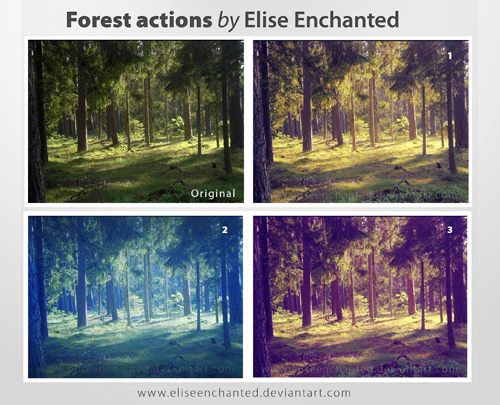 Forest Photoshop Action