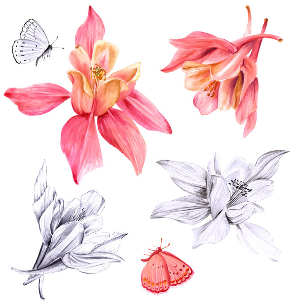 Fuchsias with butterfly watercolor hand drawn vector
