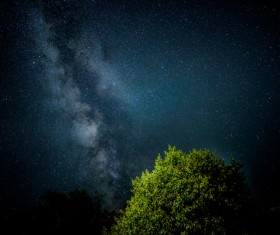 Green tree under sparkling starry sky Stock Photo