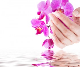 Hand holding flower Stock Photo 01