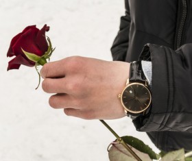 Hand holding flower Stock Photo 05