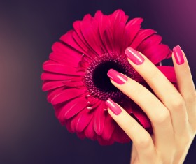 Hand holding flower Stock Photo 08