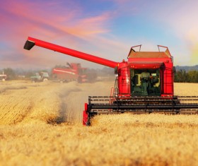 Harvest season Stock Photo