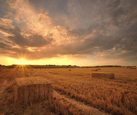 Haystacks in farmland Stock Photo 01