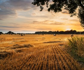 Haystacks in farmland Stock Photo 03