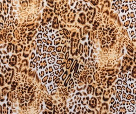 Leopard print Stock Photo 05