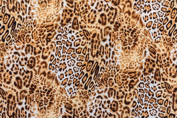 Leopard print Stock Photo 05