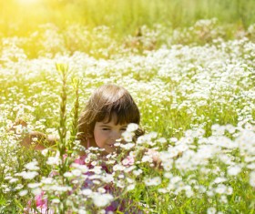 Little girl in wildflower meadow Stock Photo