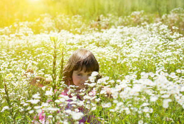 Little girl in wildflower meadow Stock Photo