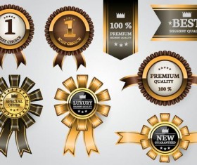 Luxury golden labels with ribbon banners vector