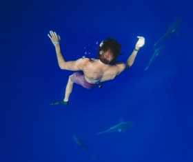 Man swimming with shark Stock Photo