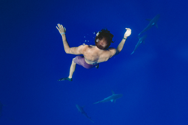 Man swimming with shark Stock Photo