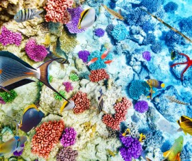 Ocean underwater world coral reef tropical fish Stock Photo 05