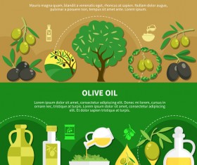 Olive oil flat infographic vector