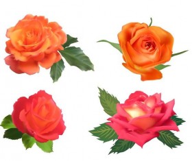 Orname with pink rose illustration vector