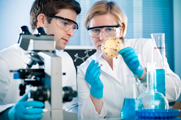 People working in the laboratory Stock Photo 06