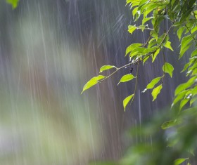 Green meadow with blurred sunny background HD picture - Backgrounds ...