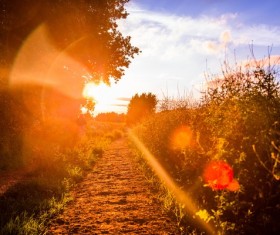 Road under the sun Stock Photo
