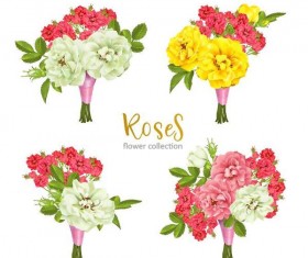 Rose flower illustration vector set