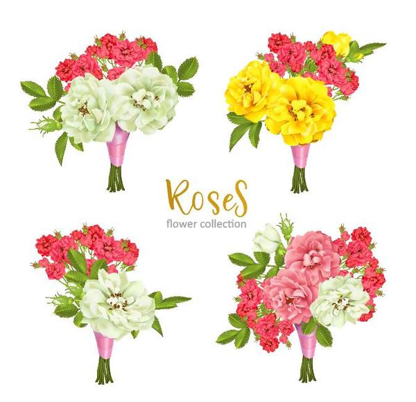 Rose flower illustration vector set