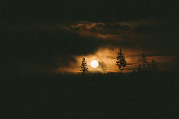 Round moon in dark landscape Stock Photo