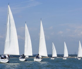 Sailboat race Stock Photo 03
