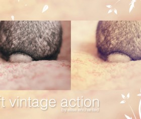 Soft vintage photoshop action