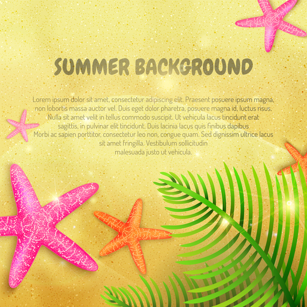 Summer backgrounds with starfish vectors