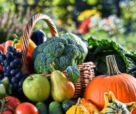 Summer fresh organic vegetables fruits Stock Photo 01