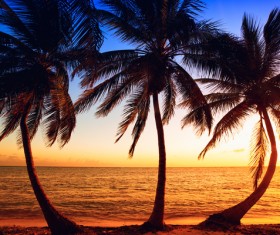 Sunrise and sunset beautiful natural landscape Stock Photo 03