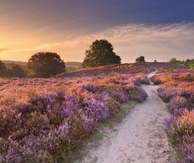 Sunrise and sunset beautiful natural landscape Stock Photo 10