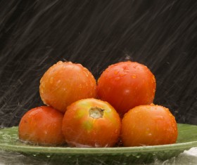 Tomatoes in the rain Stock Photo
