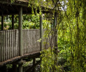 Tropical rainforest landscape Stock Photo 01