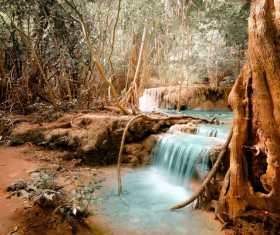 Tropical rainforest waterfall Stock Photo 01