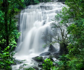 Tropical rainforest waterfall Stock Photo 03
