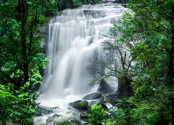 Tropical rainforest waterfall Stock Photo 03