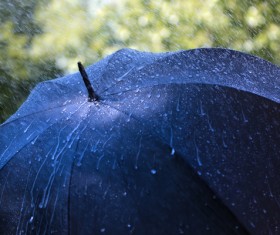 Umbrella in the rain Stock Photo 01