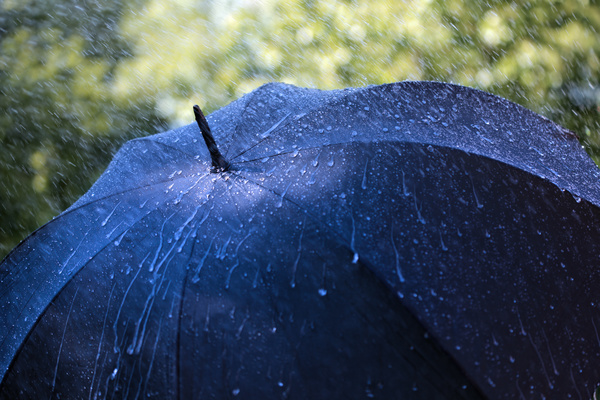 Umbrella in the rain Stock Photo 01